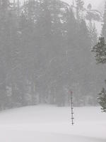 If you look really hard it says about 8 ft! 2 ft of accumulation from Saturday Morning!