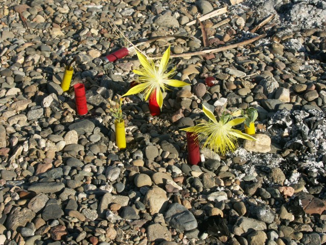 PICT0019.JPG