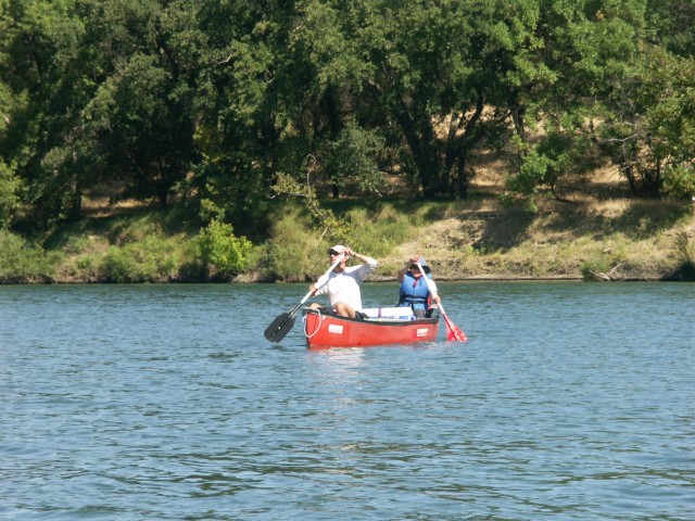 PICT0095.JPG