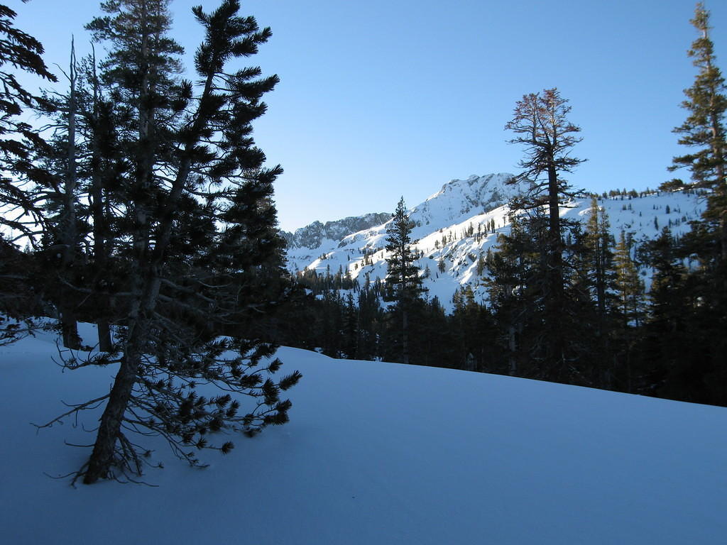 IMG_0227