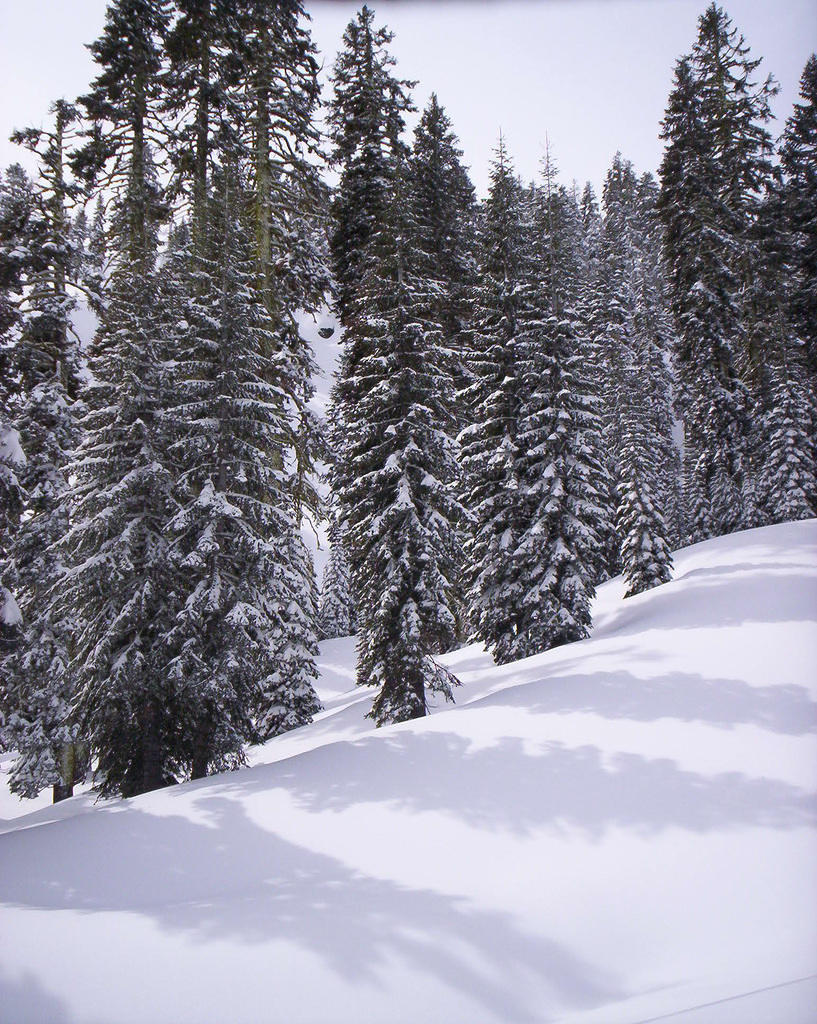 Lassen Volcanic Nat'l Park 008.jpg