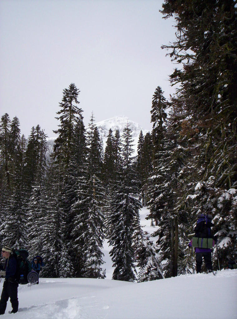 Lassen Volcanic Nat'l Park 010.jpg