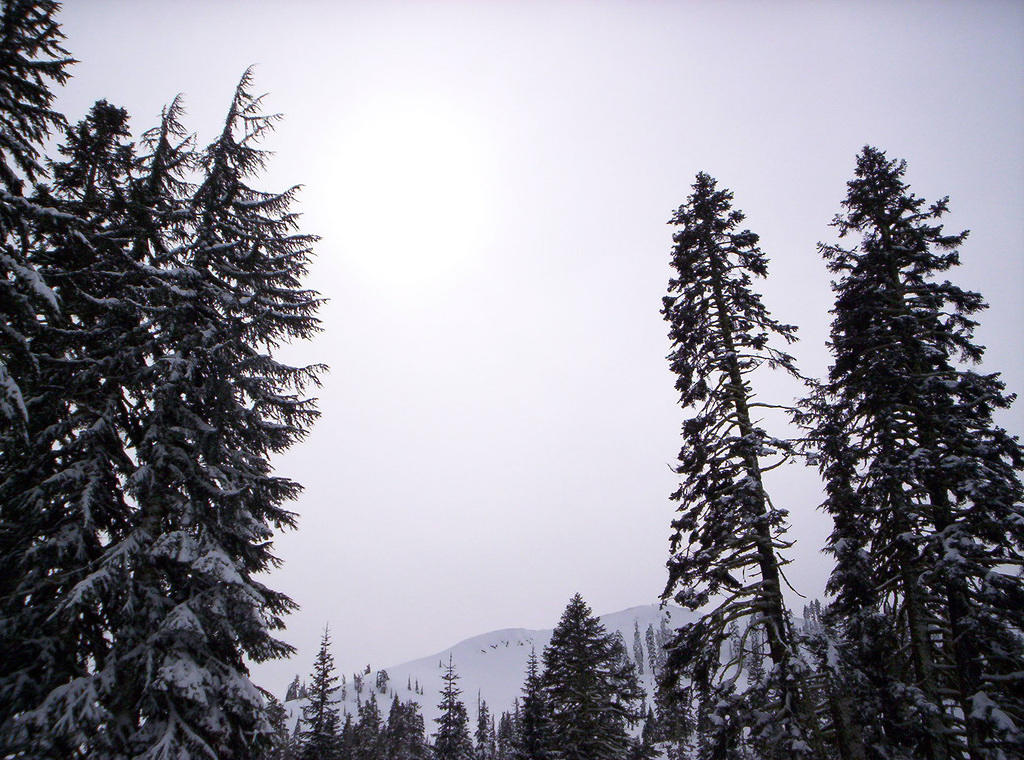 Lassen Volcanic Nat'l Park 011.jpg