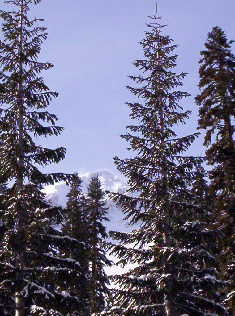 Lassen Volcanic Nat'l Park 013.jpg