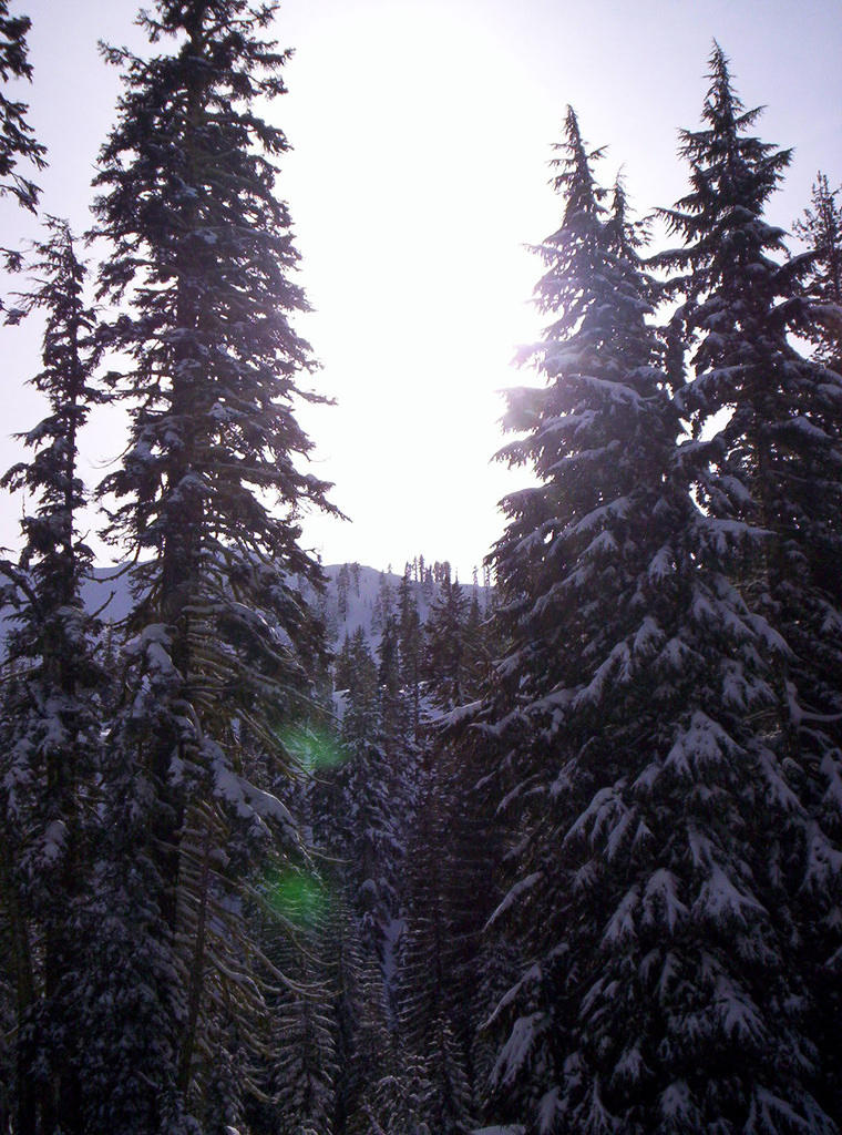 Lassen Volcanic Nat'l Park 014.jpg