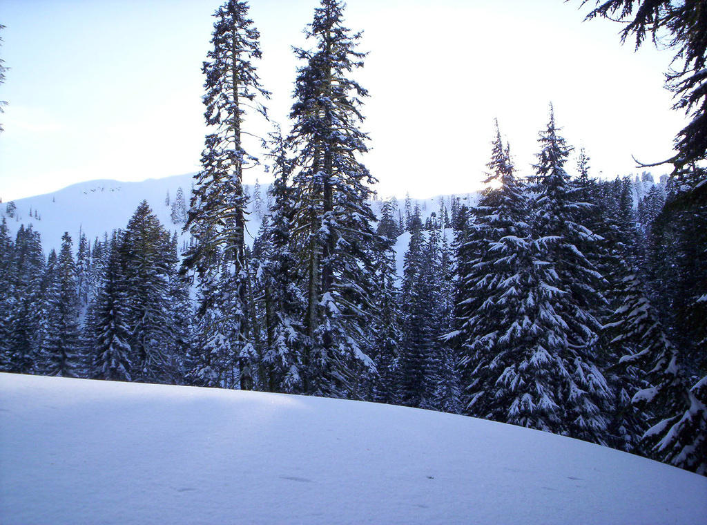 Lassen Volcanic Nat'l Park 017.jpg
