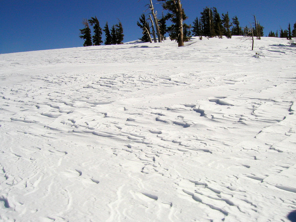 Windblown_Snow.JPG