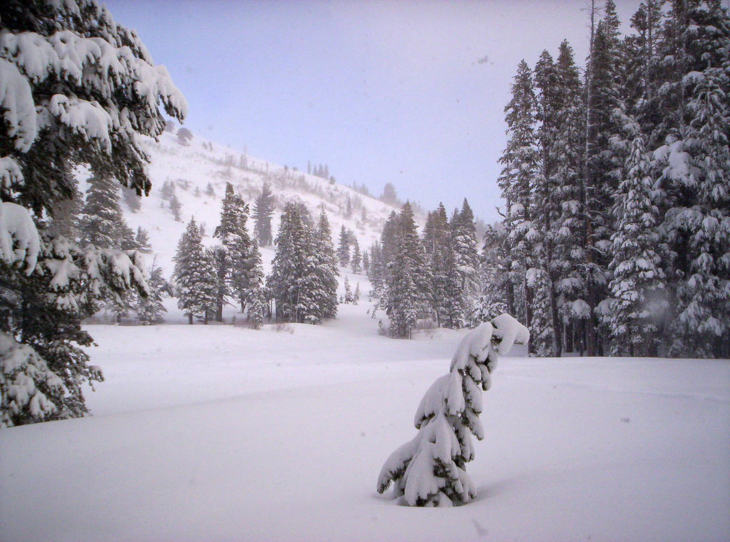 A week later, with Group 5 (more snow!)