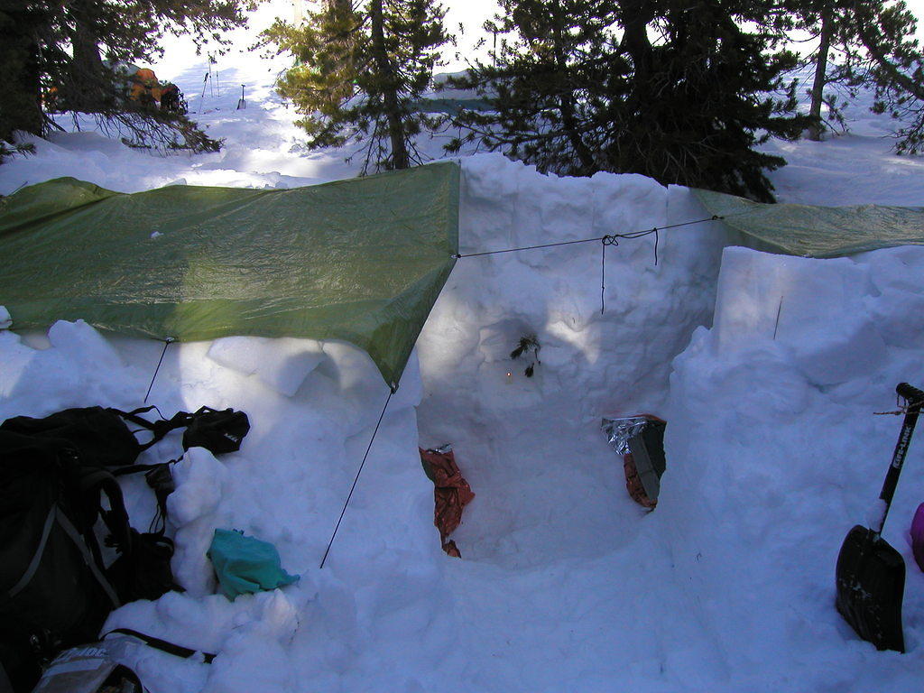 P2040045.JPG