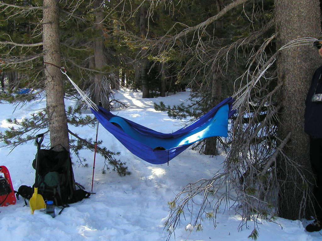 P2040050.JPG