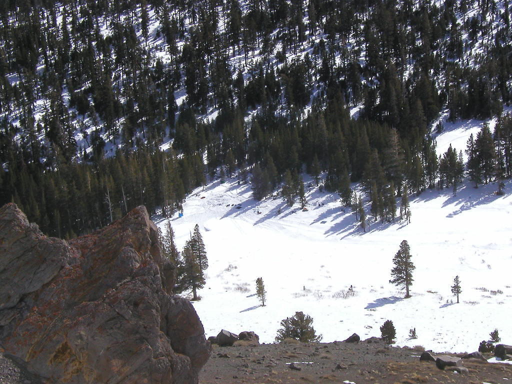 P2040054.JPG