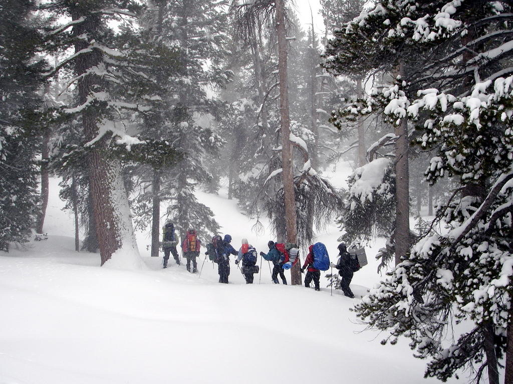 15 look Ma snow.jpg