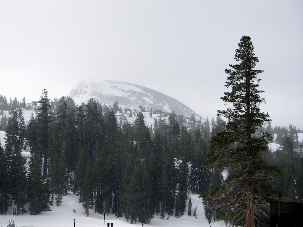 IMGP9616_2.jpg