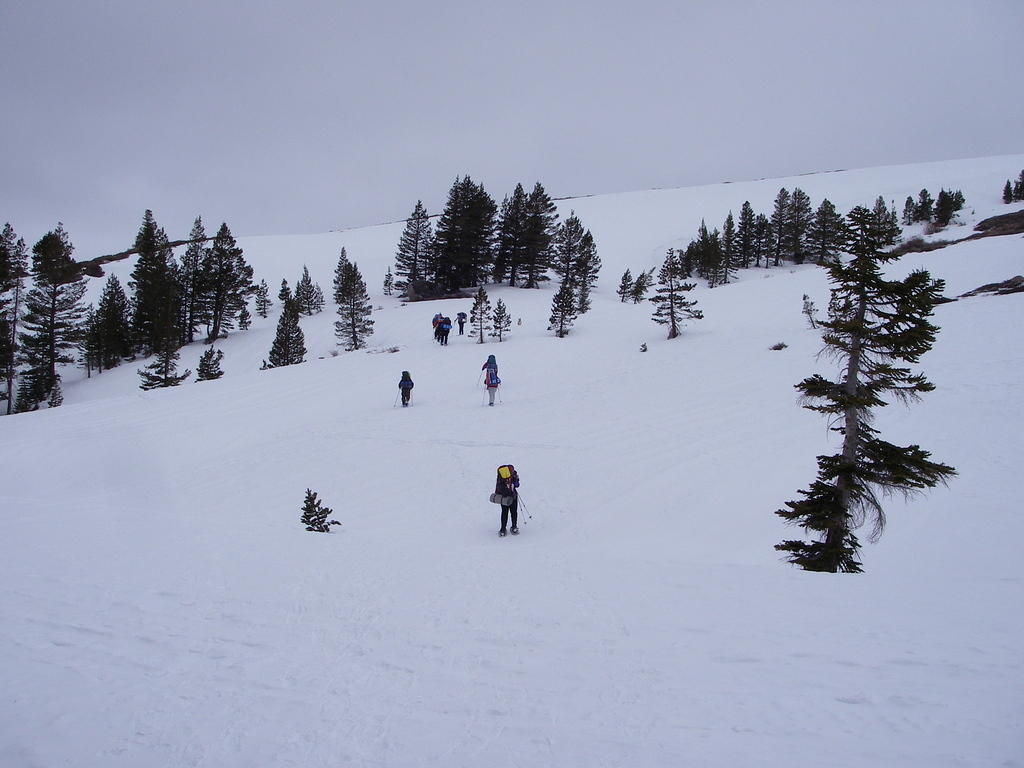 IMGP9626_2.jpg