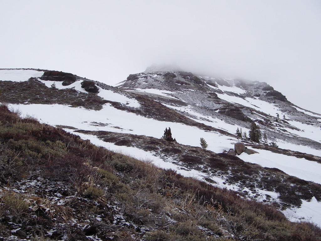 IMGP9627_2.jpg