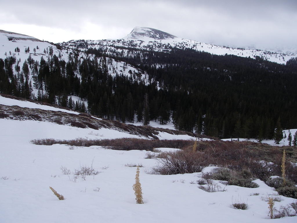 IMGP9628_2.jpg