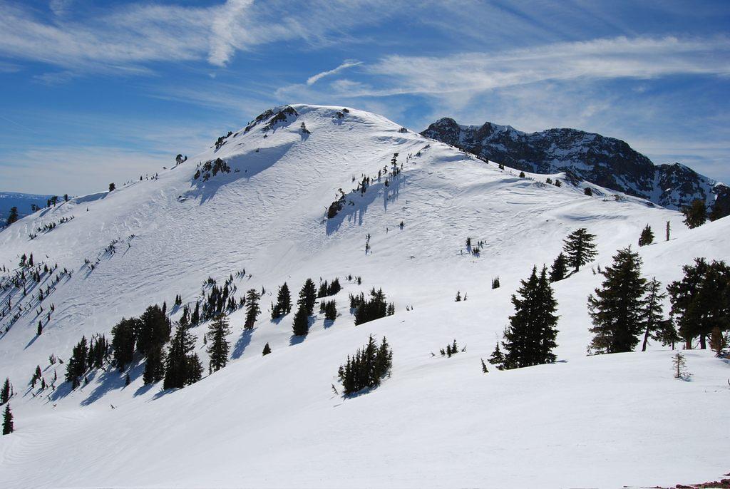2008 03 02 002.jpg