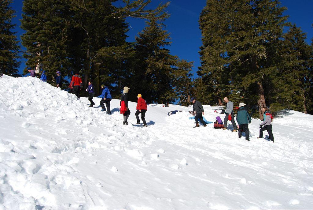 2008 03 03 016.jpg