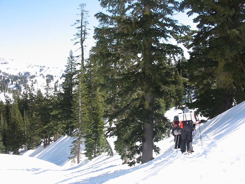 IMG_3352.jpg