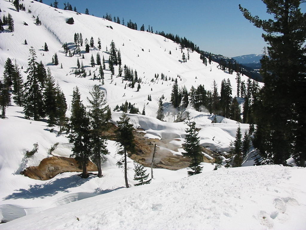 IMG_3357.jpg