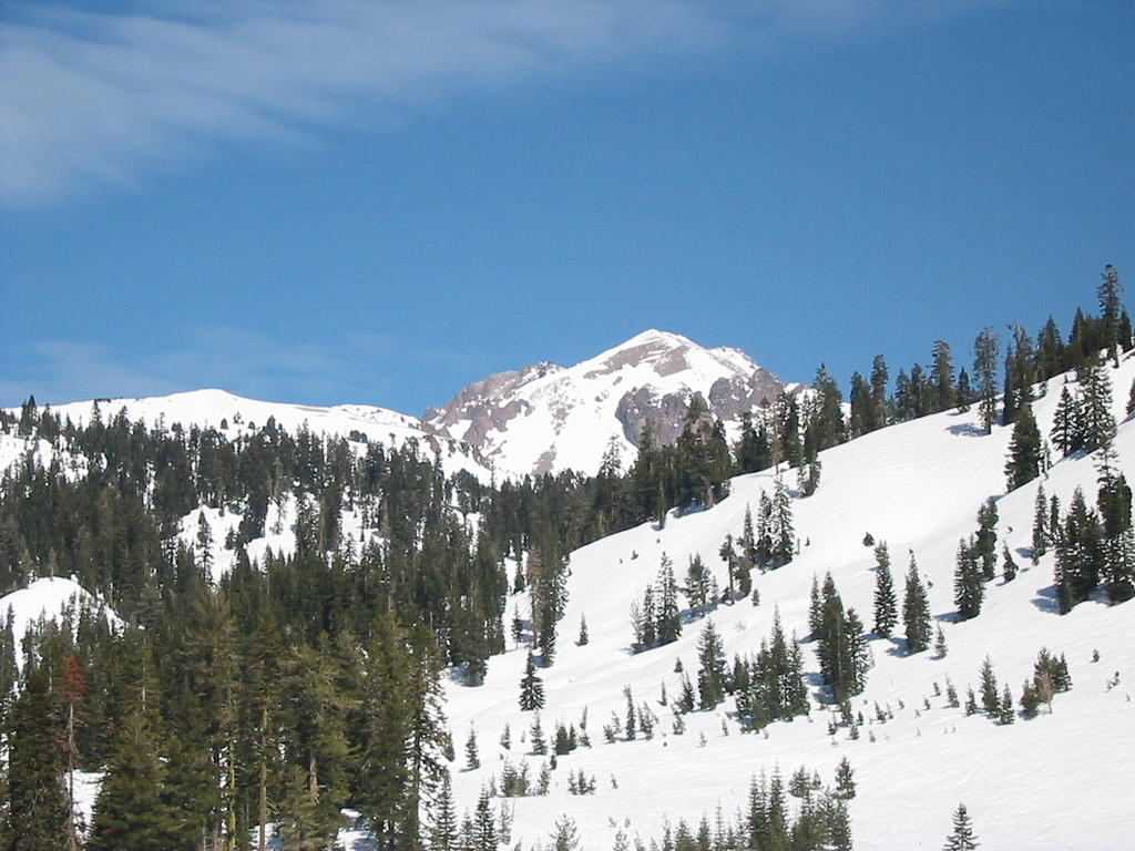 IMG_3365_001.jpg