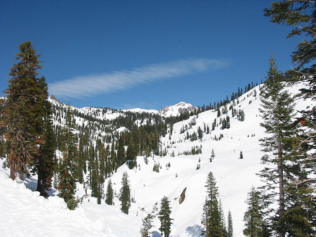 IMG_3366_001.jpg