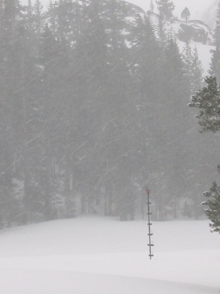 If you look really hard it says about 8 ft! 2 ft of accumulation from Saturday Morning!
