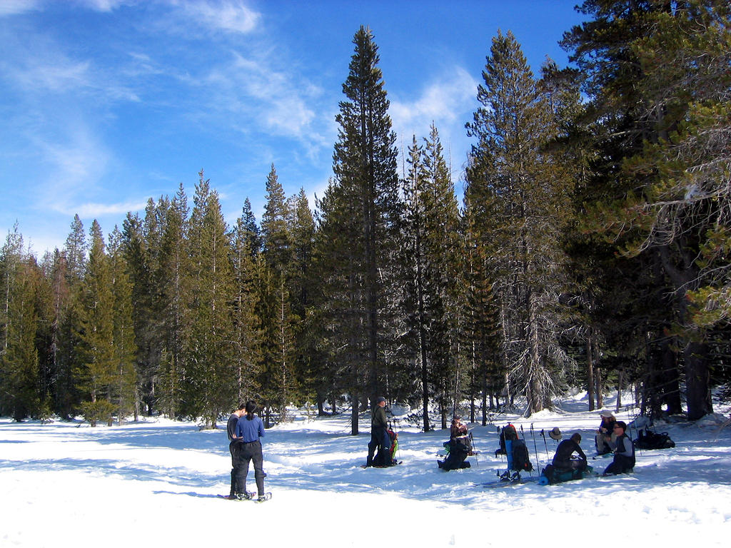 305 Last Day's Lunch in the Meadow.JPG