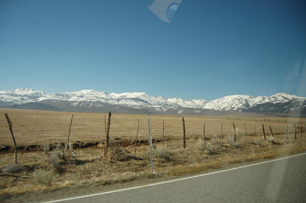 DSC_3973.JPG