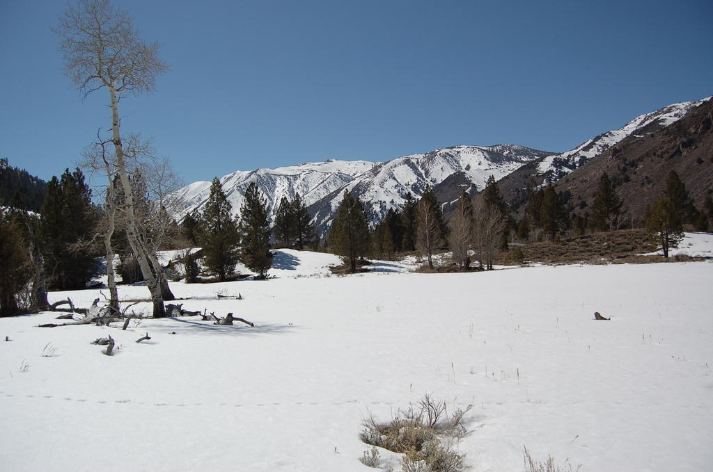 DSC_3986.JPG