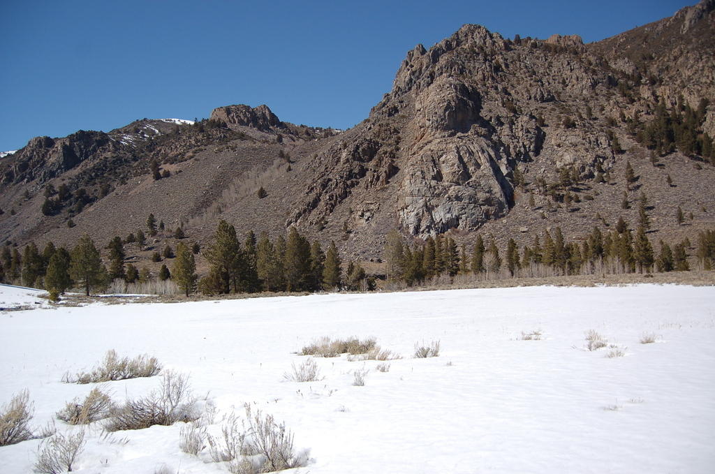 DSC_3987.JPG