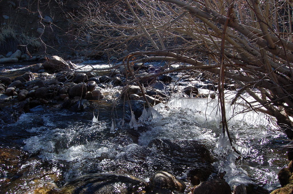 DSC_4022.JPG