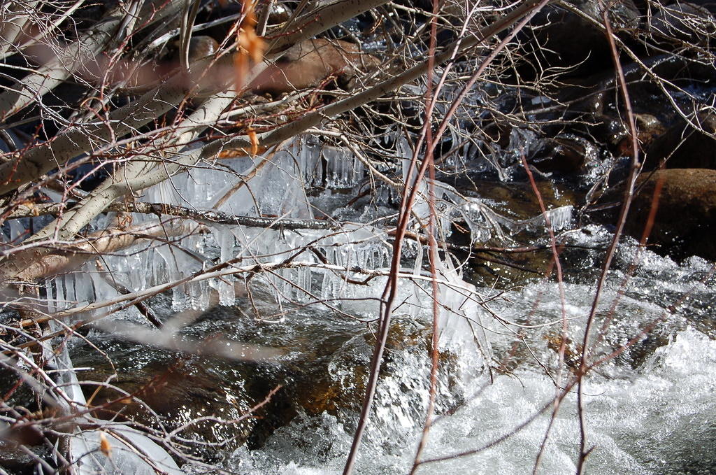 DSC_4025.JPG
