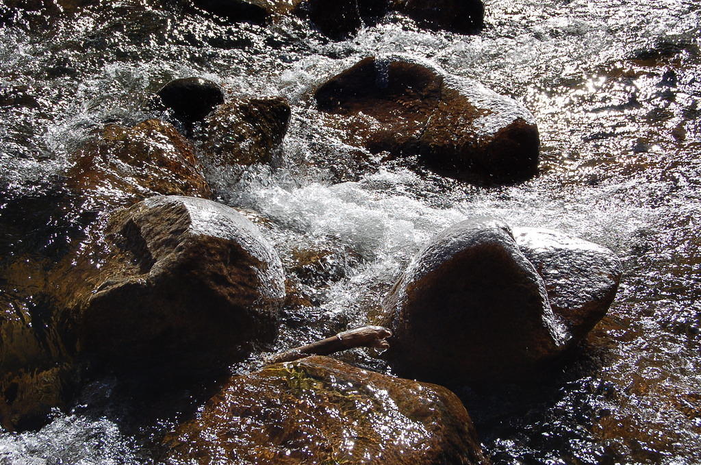 DSC_4032.JPG