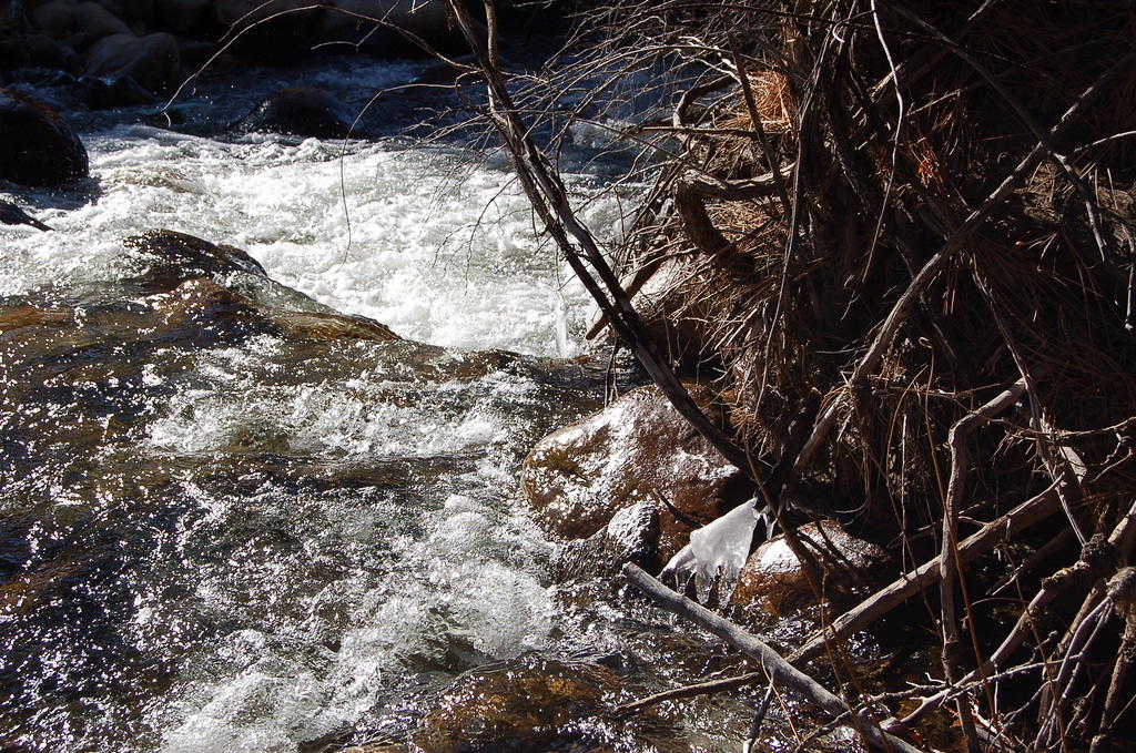 DSC_4036.JPG