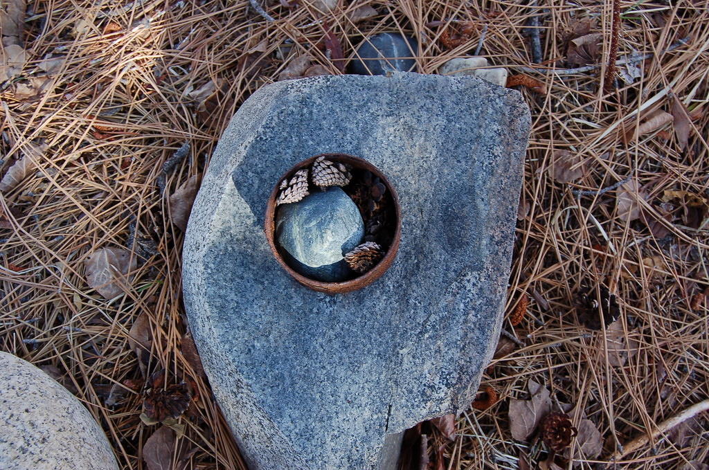 DSC_4037.JPG