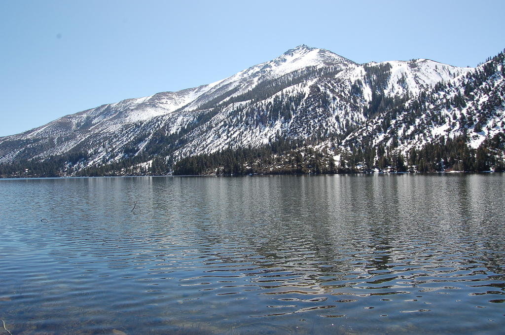 DSC_4051.JPG