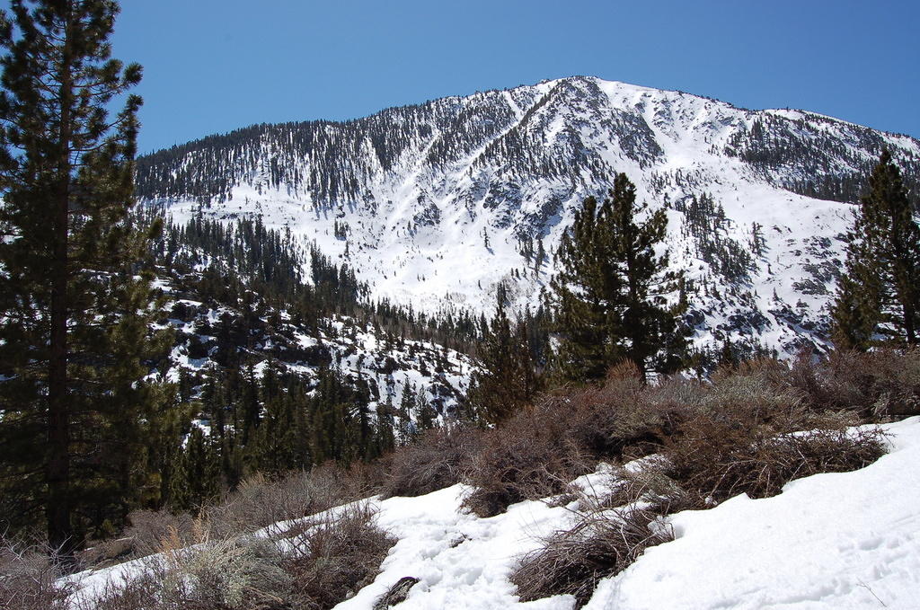 DSC_4056.JPG