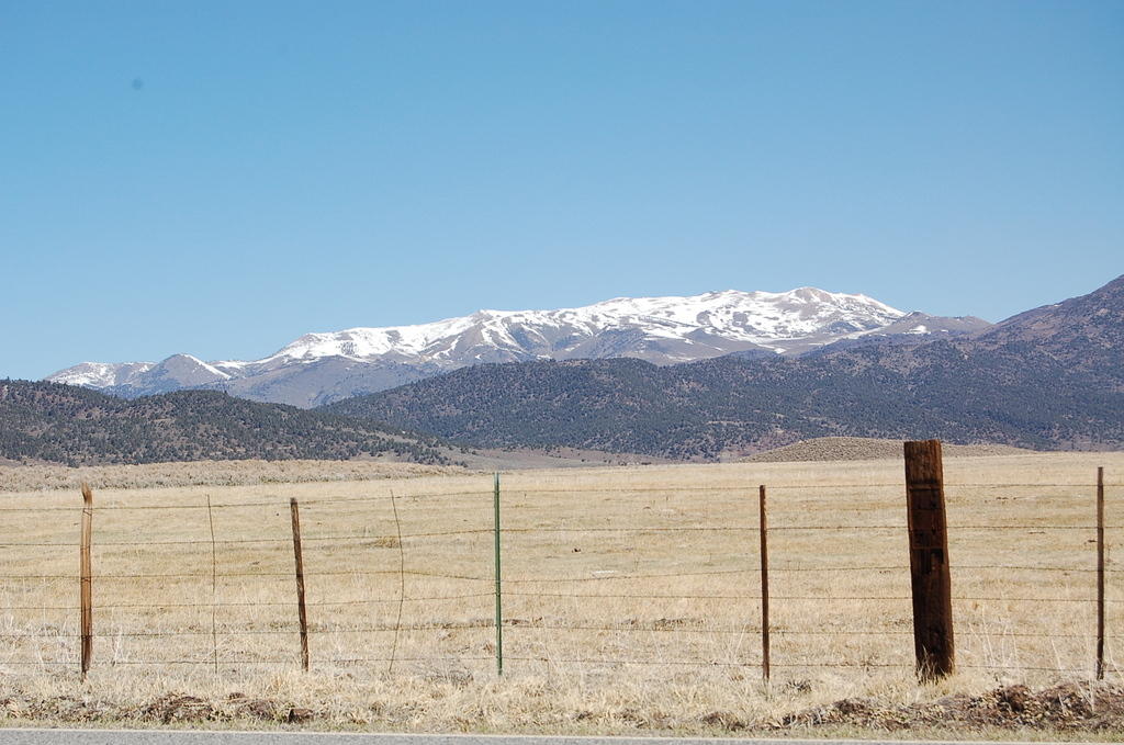 DSC_4080.JPG