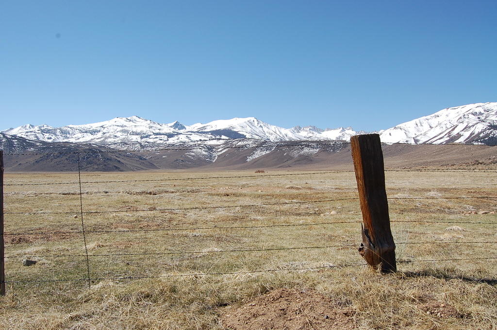 DSC_4098.JPG