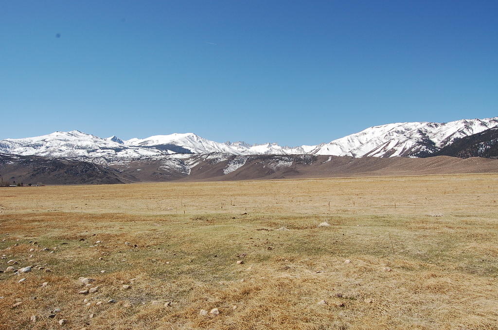 DSC_4100.JPG