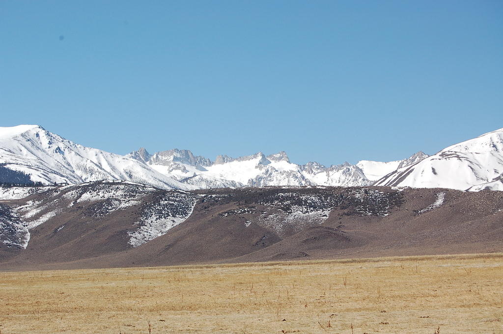 DSC_4101.JPG
