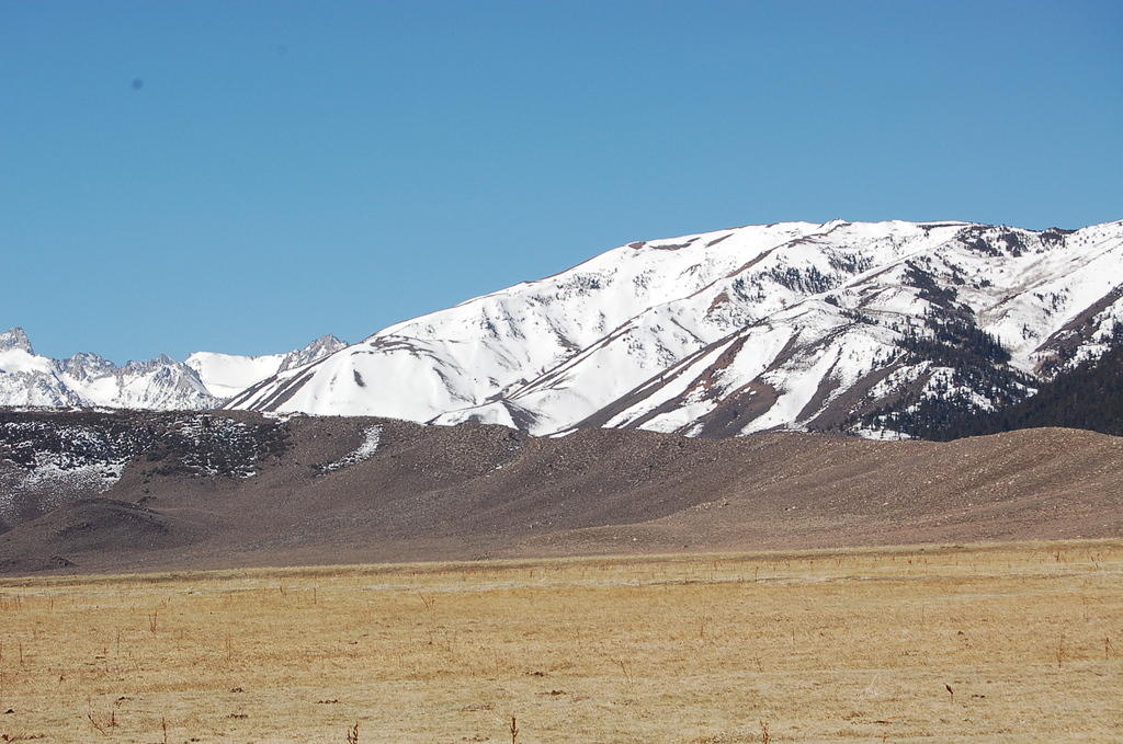 DSC_4103.JPG