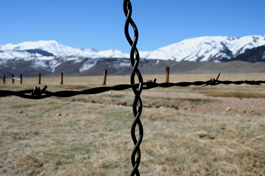 Fence.jpg