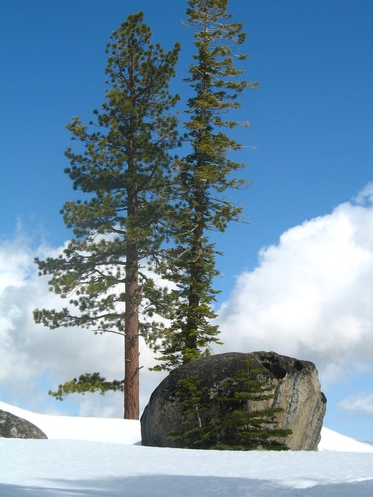 Beautiful Yosemite