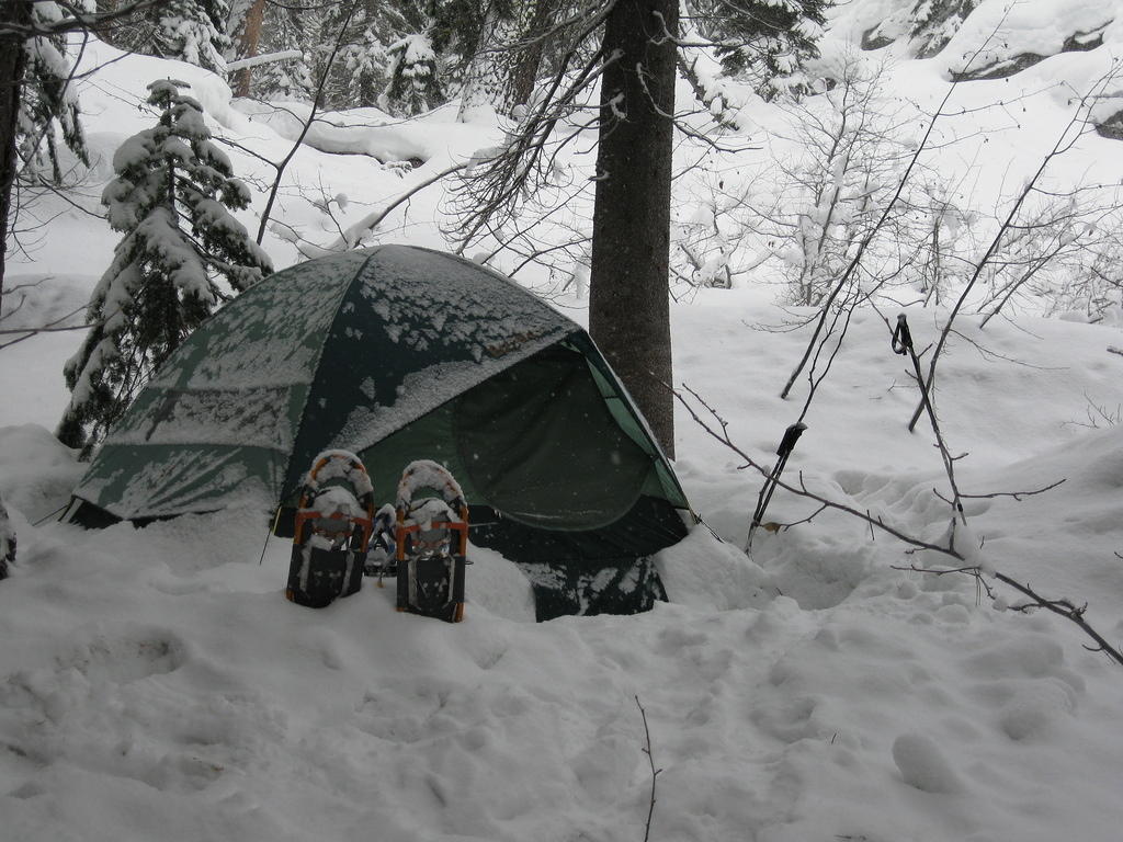 IMG_0225.jpg