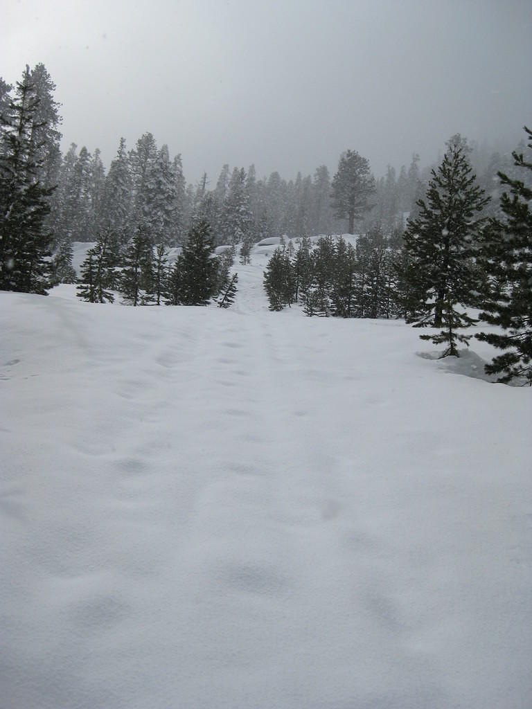 IMG_0561.JPG