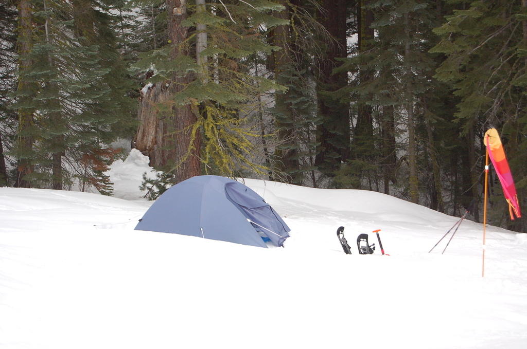 DSC_3582.JPG