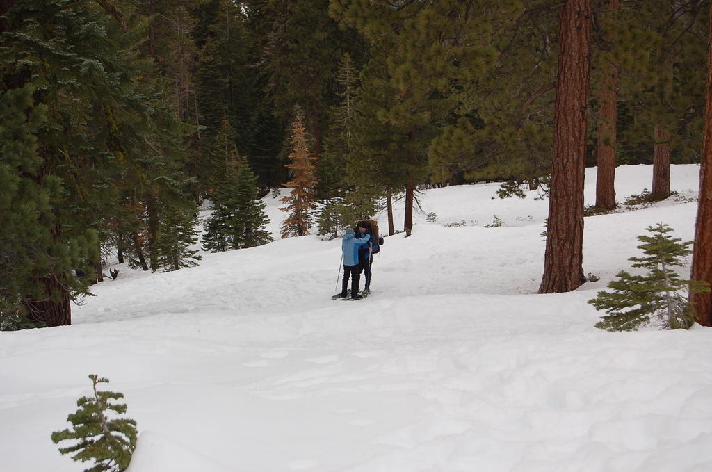 DSC_3595.JPG