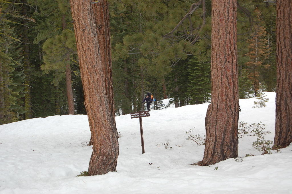 DSC_3598.JPG
